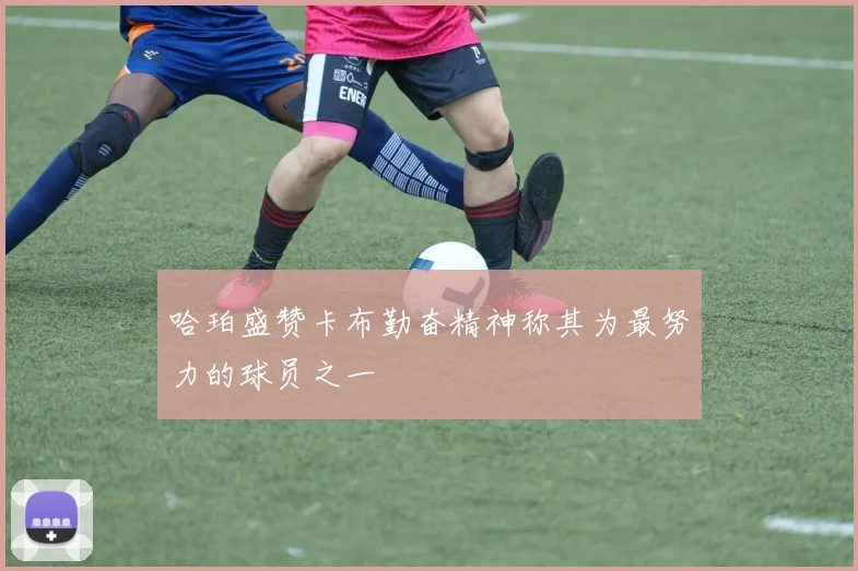哈珀盛赞卡布勤奋精神称其为最努力的球员之一